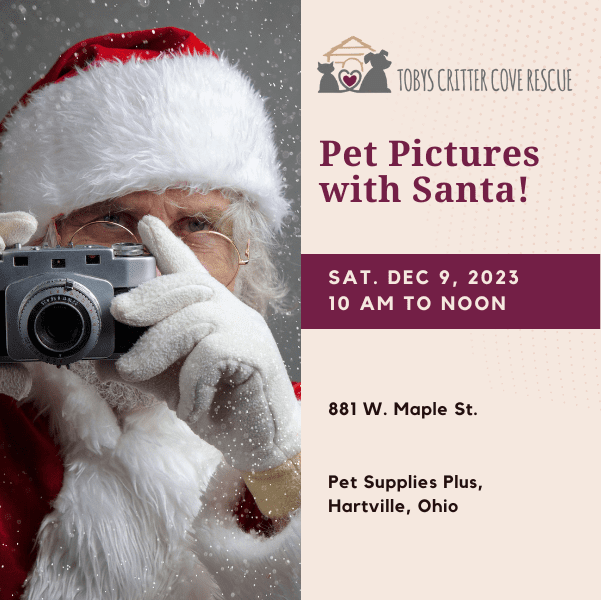 Pet Photos with Santa Hartville Tobys Critter Cove